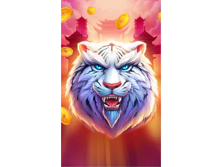 Luck of Tiger — NetGame Entertainment